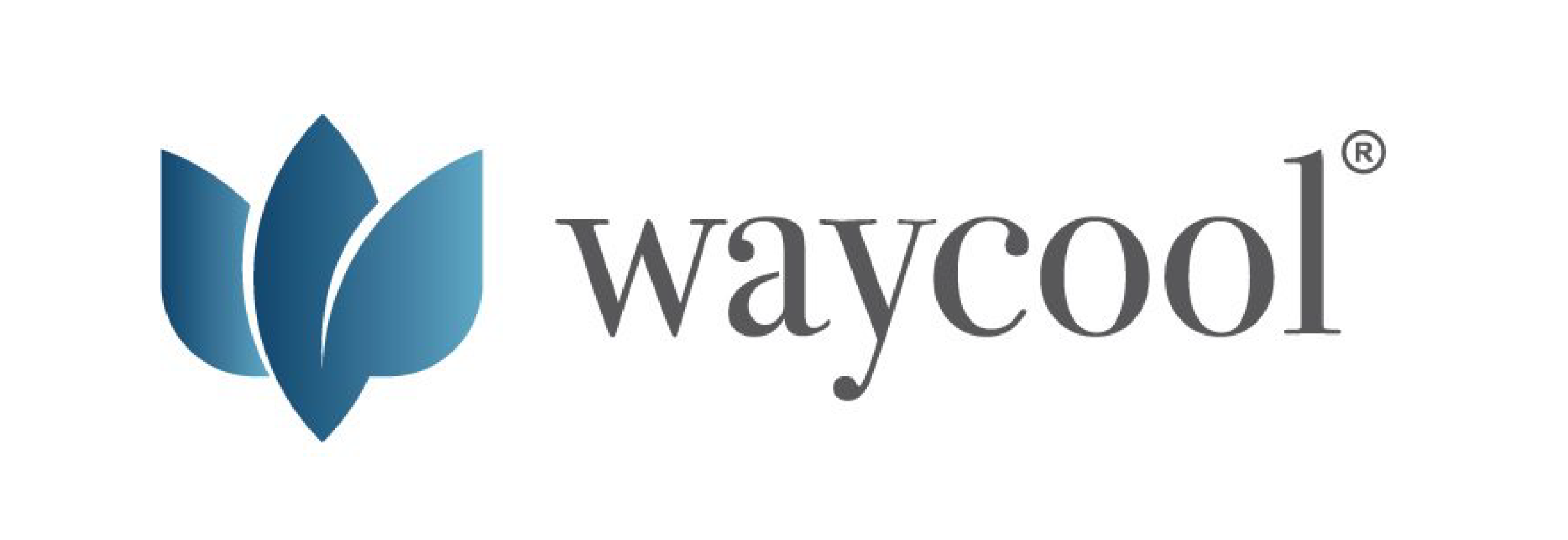Way Cool logo