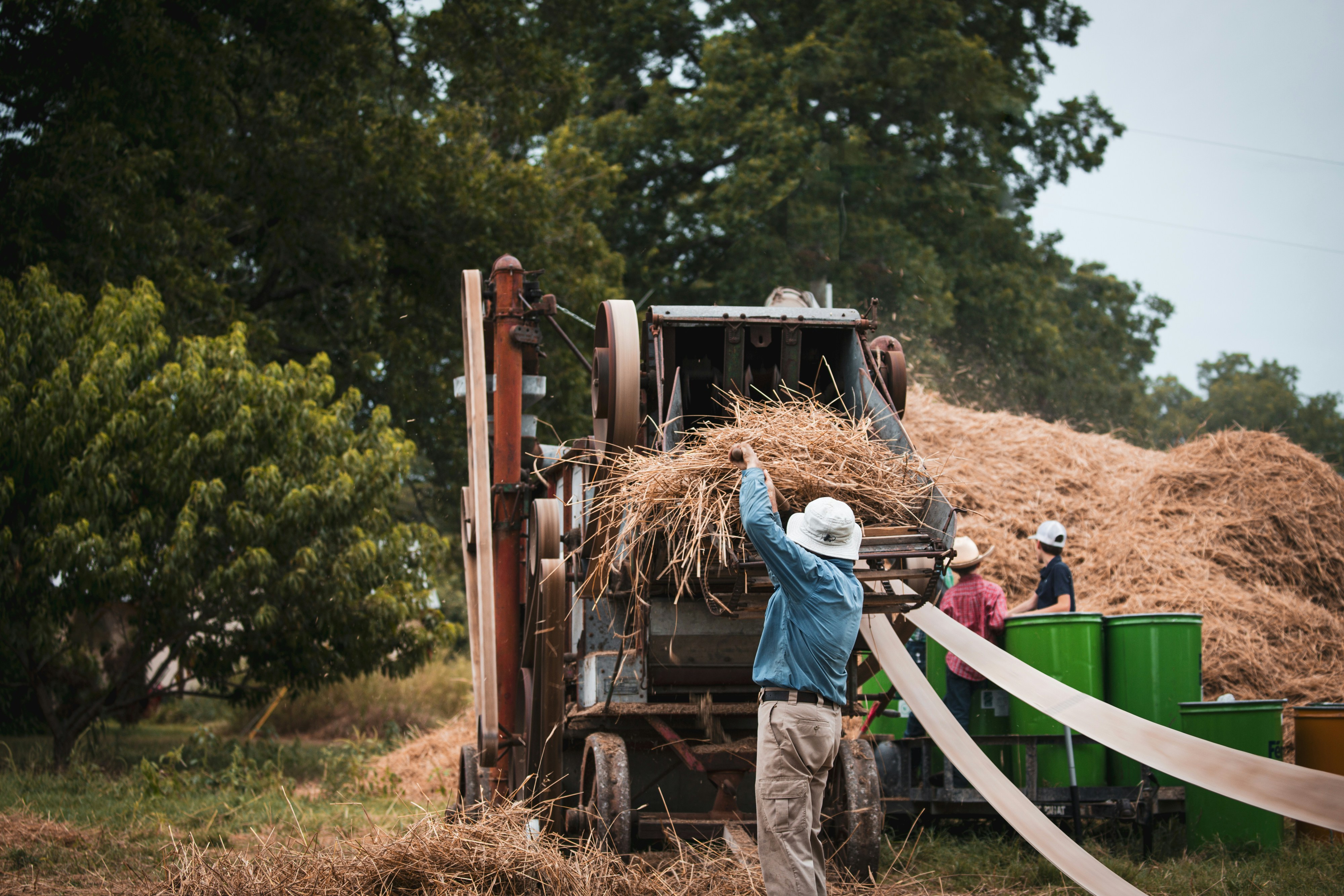 farmers harvesting