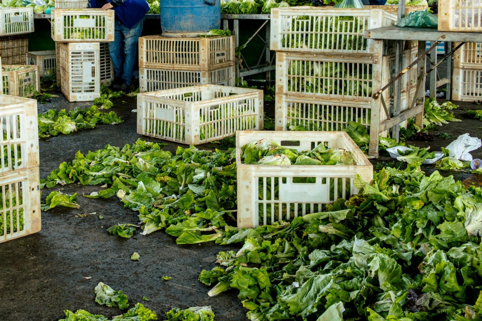 Food waste in storehouse