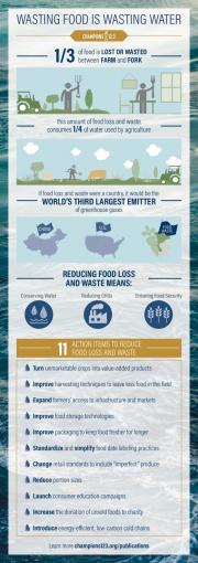 Wasting Food is Wasting Water Infographic