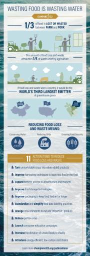 Wasting Food is Wasting Water Infographic